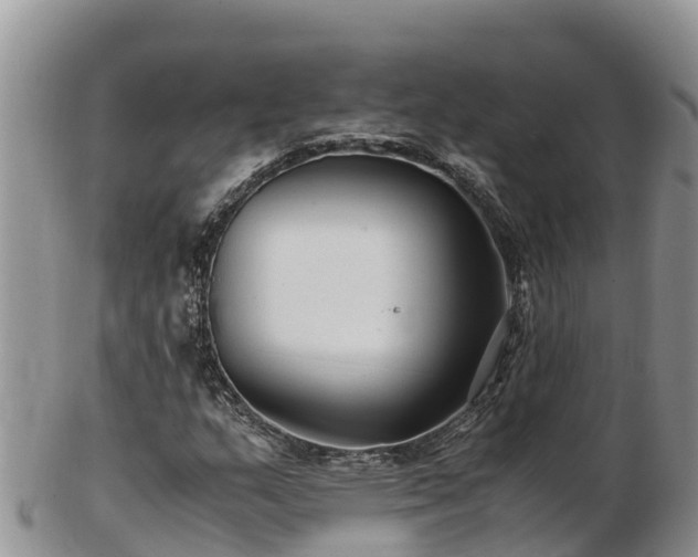 X0000103311159200809051538