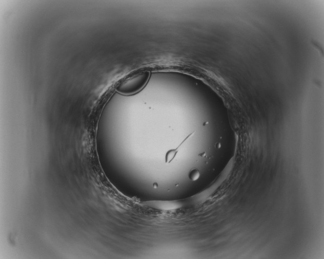 X0000103311160200809051538