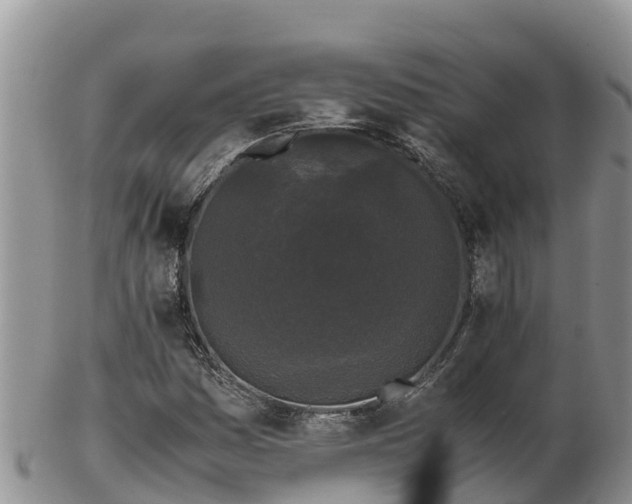 X0000103311161200809051538