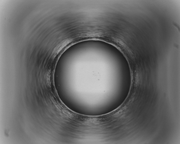 X0000103311162200809051538