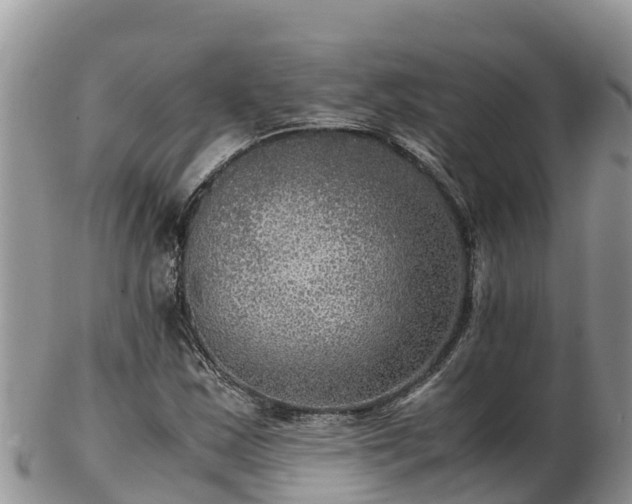 X0000103311163200809051538