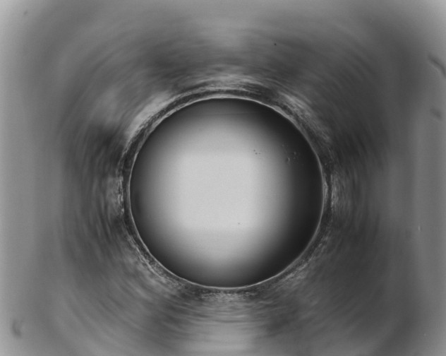 X0000103311164200809051538