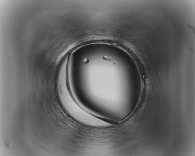 X0000103311165200809051538