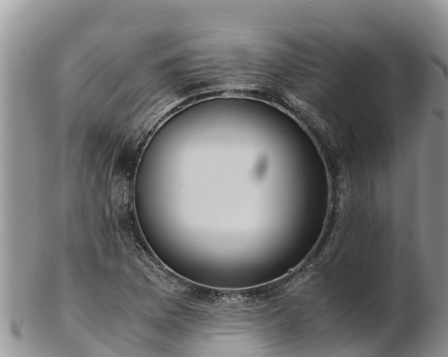 X0000103311169200809051538