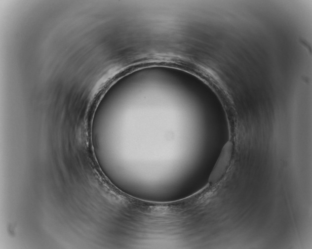 X0000103311172200809051538