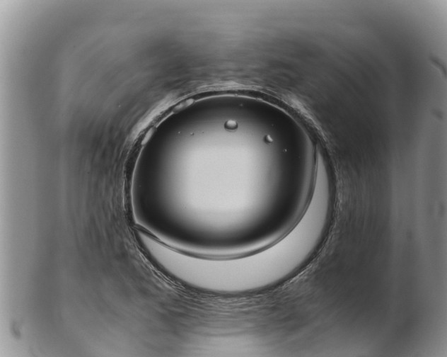 X0000103311173200809051538