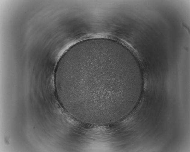 X0000103311174200809051538