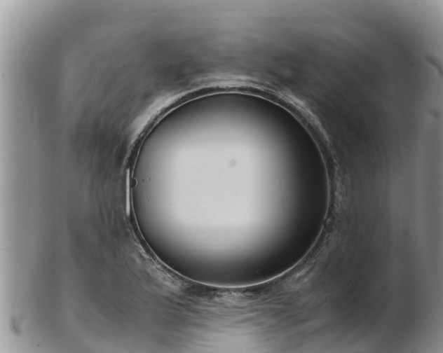 X0000103311175200809051538