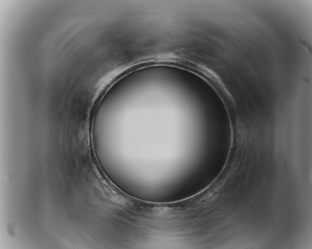 X0000103311176200809051538