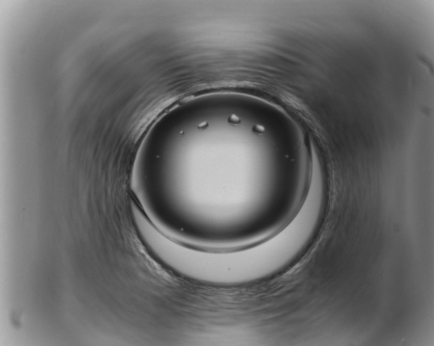 X0000103311177200809051538