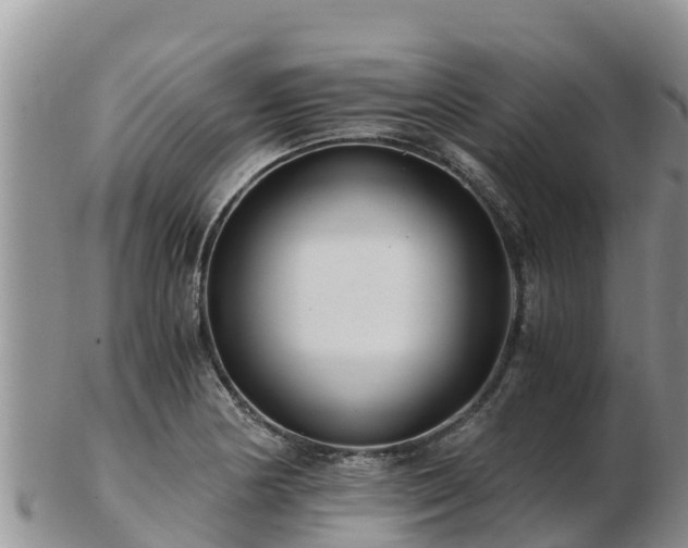 X0000103311178200809051538