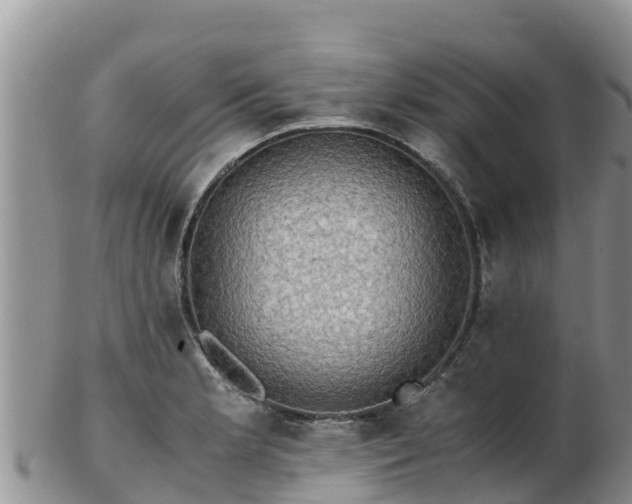 X0000103311181200809051538