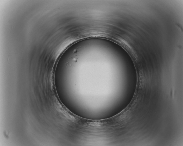 X0000103311182200809051538
