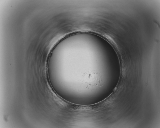 X0000103311183200809051538