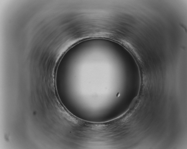 X0000103311184200809051538