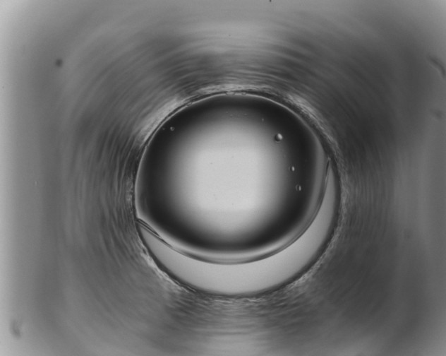 X0000103311185200809051538