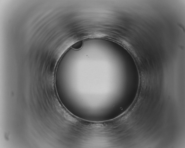 X0000103311186200809051538