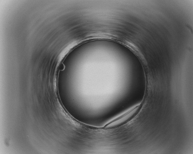 X0000103311188200809051538