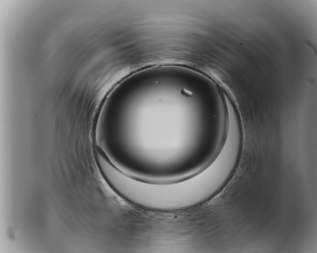 X0000103311189200809051538