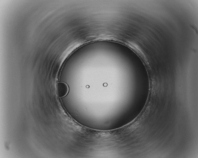 X0000103311190200809051538