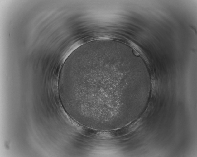 X0000103311194200809051538