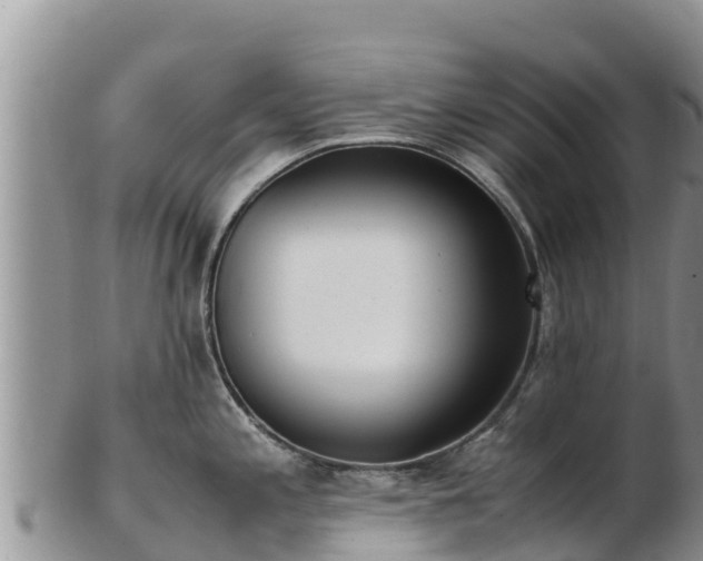 X0000103311197200809051538