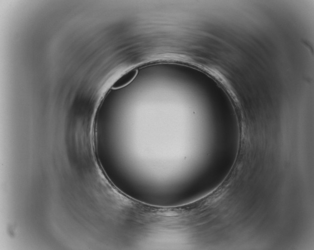X0000103311199200809051538