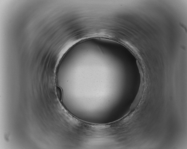X0000103311200200809051538