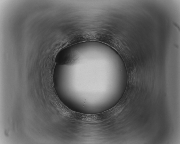 X0000103311201200809051537