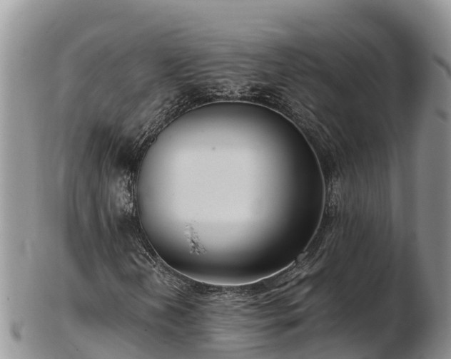 X0000103311202200809051537