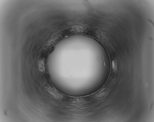 X0000103311203200809051537