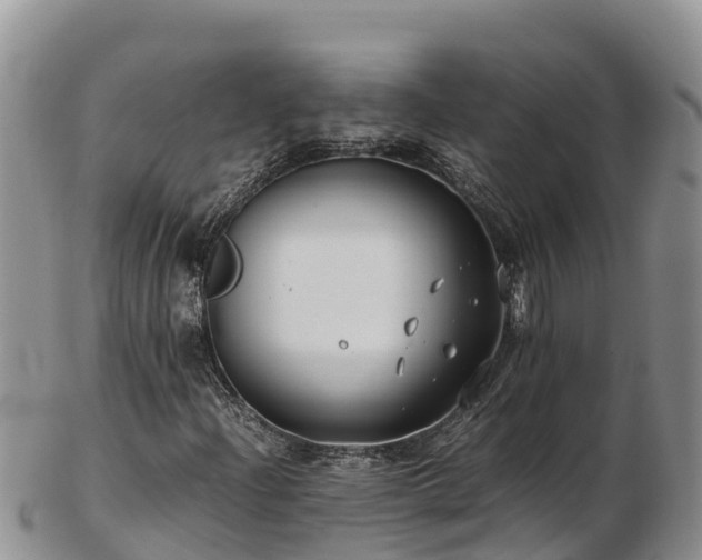 X0000103311204200809051537