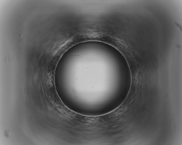 X0000103311205200809051537