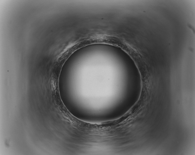 X0000103311206200809051537