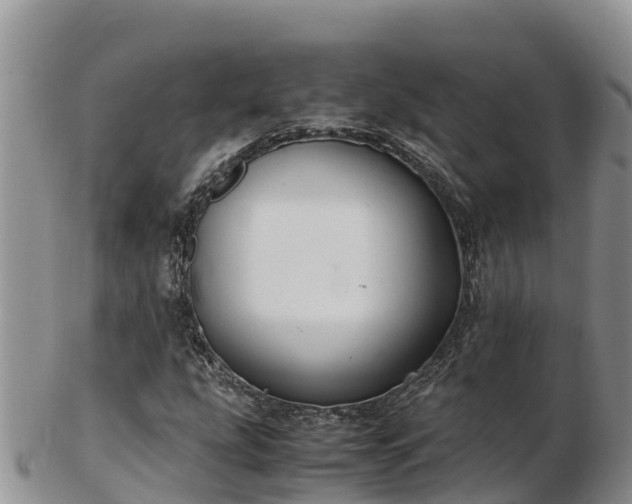 X0000103311207200809051537