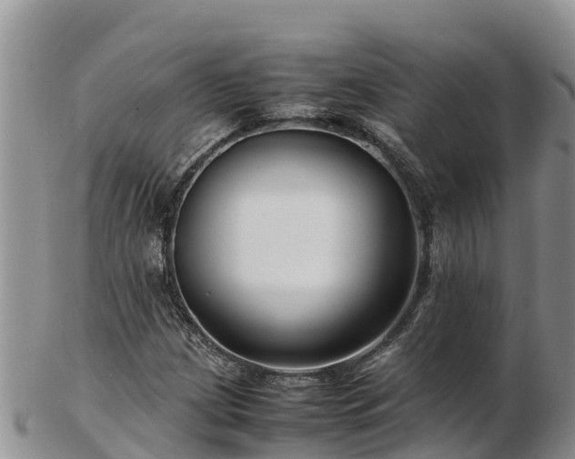 X0000103311209200809051537