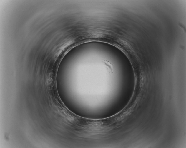 X0000103311210200809051537