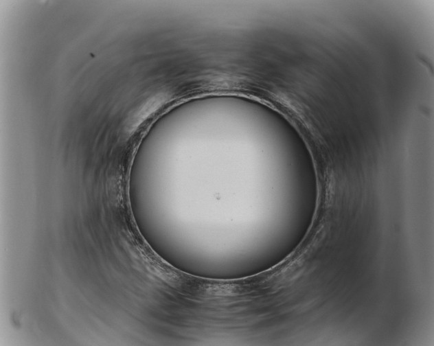 X0000103311211200809051537