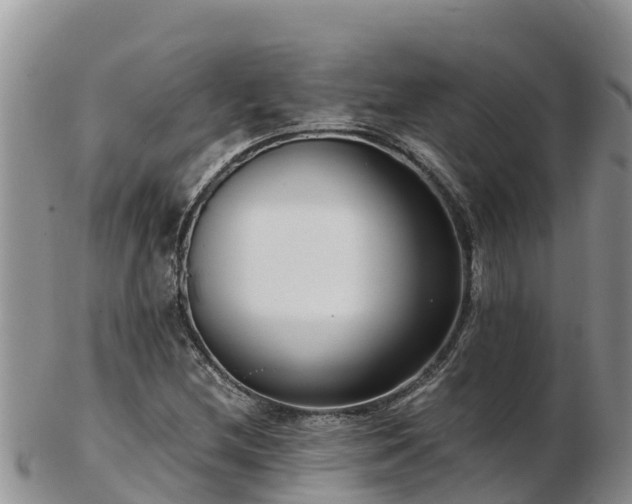 X0000103311212200809051537