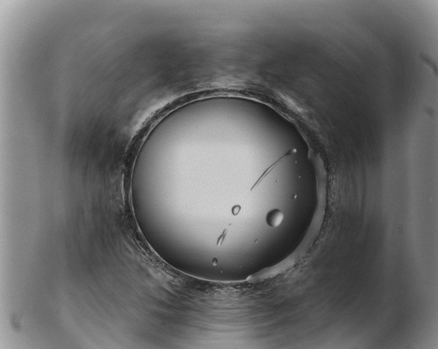 X0000103311214200809051537
