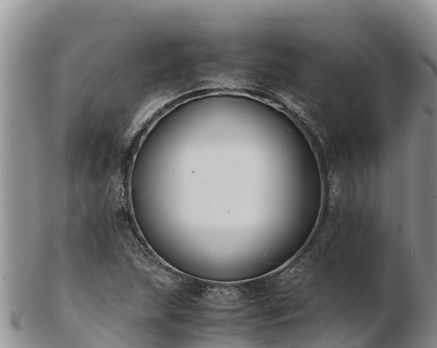 X0000103311215200809051537