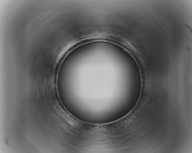 X0000103311216200809051537