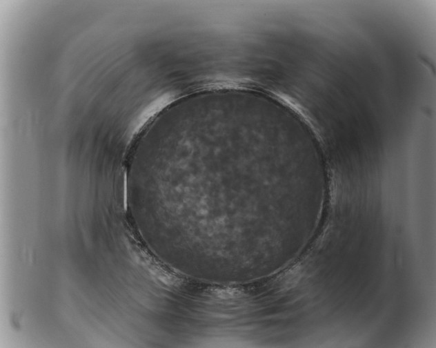 X0000103311219200809051537