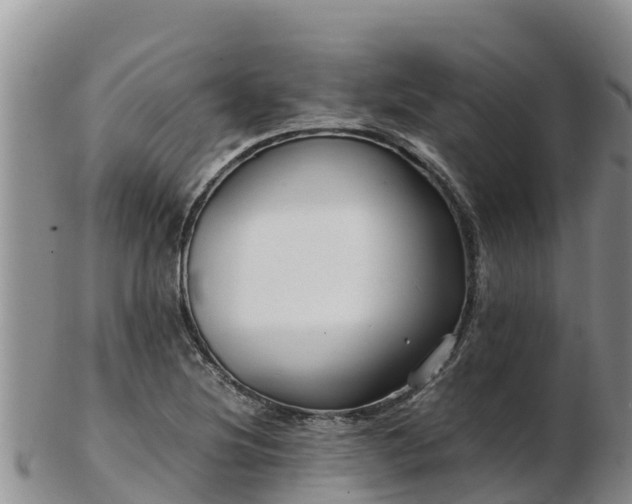 X0000103311220200809051537