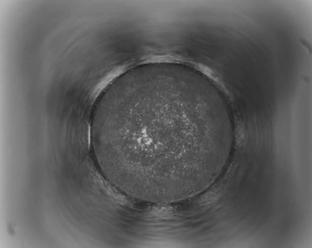 X0000103311221200809051537