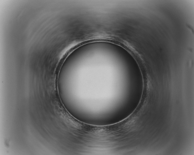 X0000103311222200809051537