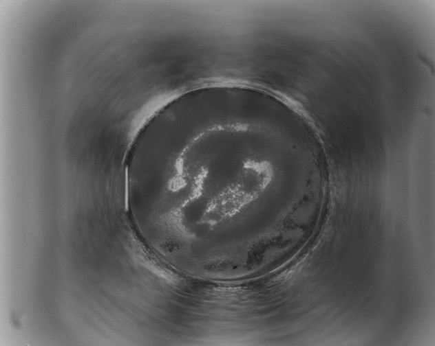 X0000103311223200809051537