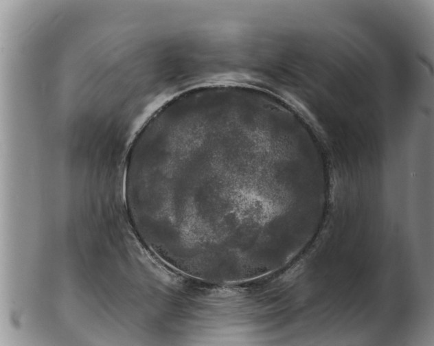 X0000103311224200809051537