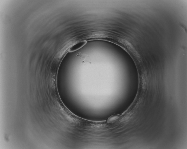 X0000103311225200809051537