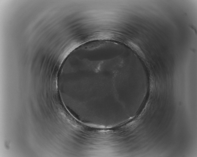 X0000103311226200809051537
